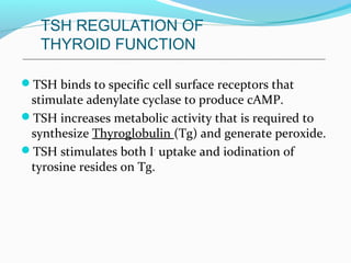 TSH binds to specific cell surface receptors that
stimulate adenylate cyclase to produce cAMP.
TSH increases metabolic activity that is required to
synthesize Thyroglobulin (Tg) and generate peroxide.
TSH stimulates both I-
uptake and iodination of
tyrosine resides on Tg.
TSH REGULATION OF
THYROID FUNCTION
 