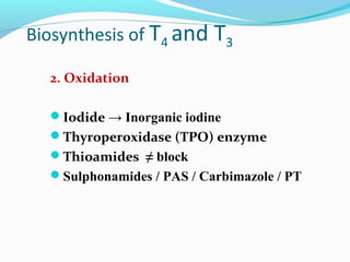 Biosynthesis of T4 and T3
2. Oxidation
Iodide → Inorganic iodine
Thyroperoxidase (TPO) enzyme
Thioamides ≠ block
Sulphonamides / PAS / Carbimazole / PT
 