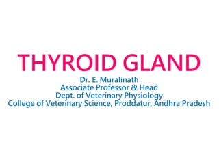 THYROID GLAND
Dr. E. Muralinath
Associate Professor & Head
Dept. of Veterinary Physiology
College of Veterinary Science, Proddatur, Andhra Pradesh
 
