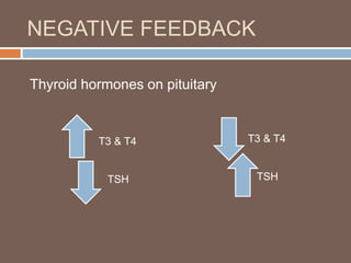 NEGATIVE FEEDBACK
Thyroid hormones on pituitary
T3 & T4
TSH
T3 & T4
TSH
 