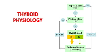 THYROID
PHYSIOLOGY
 