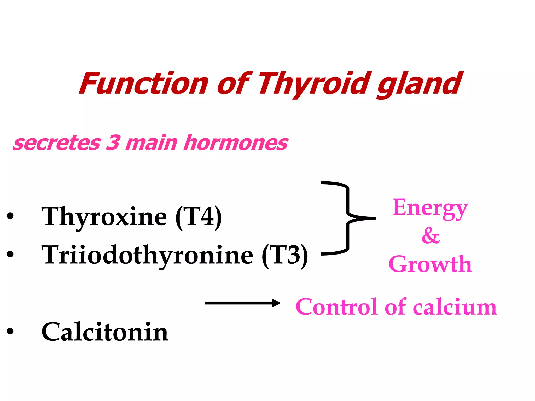 Function of Thyroid gland
secretes 3 main hormones
• Thyroxine (T4)
• Triiodothyronine (T3)
• Calcitonin
Energy
&
Growth
Control of calcium
 