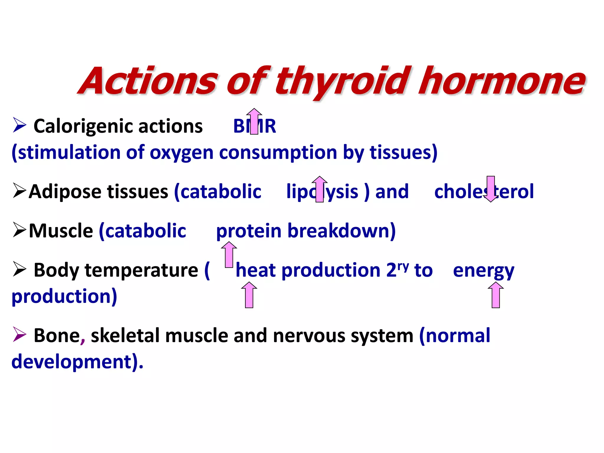  Calorigenic actions BMR
(stimulation of oxygen consumption by tissues)
Adipose tissues (catabolic lipolysis ) and cholesterol
Muscle (catabolic protein breakdown)
 Body temperature ( heat production 2ry to energy
production)
 Bone, skeletal muscle and nervous system (normal
development).
Actions of thyroid hormone
 