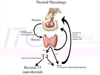 PHYSIOLOGY-
The primary physiologic role is the production of thyroid hormone, which plays an important role in metabolic homeostasis.
A secondary role is the production of calcitonin, a hormone involved in calcium homeostasis.
The follicular cells of the thyroid gland synthesize and secrete thyroglobulin(Tg) and thyroid hormone in two biologically active forms,
thyroxine (3,5,3′,5′ iodothyronine or T4) and
triiodothyronine (3,5,3′ iodothyronine or T3).
T4 is considered the storage and transport form of the hormone and T3 is considered the metabolically active form.
 