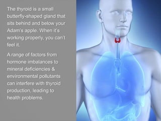 The thyroid is a small
butterfly-shaped gland that
sits behind and below your
Adam’s apple. When it’s
working properly, yo...