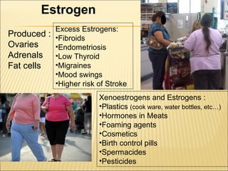 Estrogen
Produced :
Ovaries
Adrenals
Fat cells
Excess Estrogens:
•Fibroids
•Endometriosis
•Low Thyroid
•Migraines
•Mood swings
•Higher risk of Stroke
Xenoestrogens and Estrogens :
•Plastics (cook ware, water bottles, etc…)
•Hormones in Meats
•Foaming agents
•Cosmetics
•Birth control pills
•Spermacides
•Pesticides
 