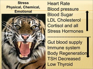 Heart Rate
Blood pressure
Blood Sugar
LDL Cholesterol
Cortisol and all
Stress Hormones
----------------------------
Gut blood supply
Immune system
Body Regeneration
TSH Decreased
Low Thyroid
Stress
Physical, Chemical,
Emotional
 