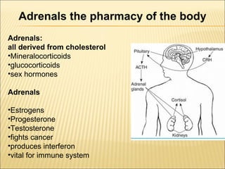 Thyroid stress and inflammation
