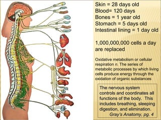 Thyroid stress and inflammation