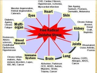 Thyroid stress and inflammation