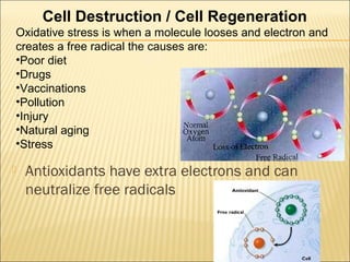 Thyroid stress and inflammation