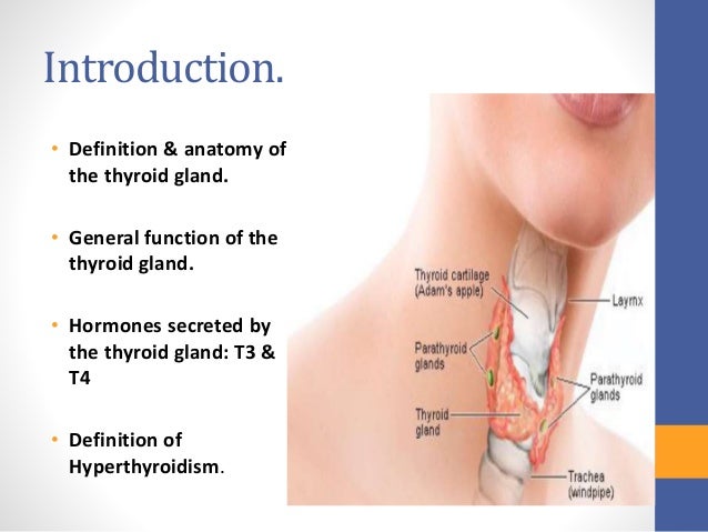 an introduction to the diseases of the thyroid The thyroid gland synthesizes the hormones thyroxine (t 4) and triiodothyronine (t 3), iodine-containing amino acids that regulate the body’s metabolic rate adequate levels of thyroid hormone are necessary in infants for normal development of the cns, in children for normal skeletal growth and maturation, and in adults for normal function of multiple. an introduction to the diseases of the thyroid The thyroid gland synthesizes the hormones thyroxine (t 4) and triiodothyronine (t 3), iodine-containing amino acids that regulate the body’s metabolic rate adequate levels of thyroid hormone are necessary in infants for normal development of the cns, in children for normal skeletal growth and maturation, and in adults for normal function of multiple.
