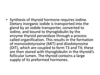 • Synthesis of thyroid hormone requires iodine.
Dietary inorganic iodide is transported into the
gland by an iodide transporter, converted to
iodine, and bound to thyroglobulin by the
enzyme thyroid peroxidase through a process
called organification. This results in the formation
of monoiodotyrosine (MIT) and diiodotyrosine
(DIT), which are coupled to form T3 and T4; these
are then stored with thyroglobulin in the thyroid’s
follicular lumen. The thyroid contains a large
supply of its preformed hormones.
 