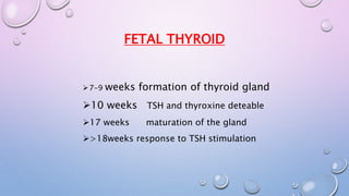 FETAL THYROID 
7-9 weeks formation of thyroid gland 
10 weeks TSH and thyroxine deteable 
17 weeks maturation of the gland 
>18weeks response to TSH stimulation 
 