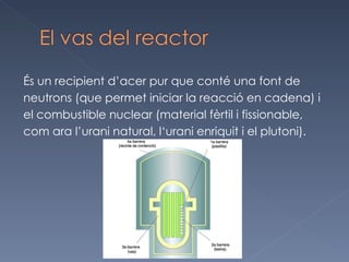 És un recipient d’acer pur que conté una font de  neutrons (que permet iniciar la reacció en cadena) i el combustible nuclear (material fèrtil i fissionable,  com ara l’urani natural, l‘urani enriquit i el plutoni). 