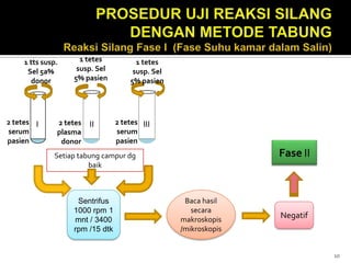 10PROSEDUR UJI REAKSI SILANG DENGAN METODE TABUNG Reaksi Silang Fase I  (Fase Suhu kamar dalamSalin)1 tts susp. Sel 5% donor1tetes susp. Sel 5% pasien1 tts susp. Sel 5a% donor1tetes susp. Sel 5% pasien2 tetes serum pasien2 tetes serum pasien2 tetes plasmadonor  I                             II                            IIIFaseIISetiaptabung campur dg baikBaca hasil secara makroskopis/mikroskopisSentrifus 1000 rpm 1 mnt / 3400 rpm /15 dtkNegatif