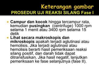 Campur dan kocok hingga tercampur rata, kemudian pusingkan  (centrifuge) 1000 rpm selama 1 menit atau 3400 rpm selama 15 detikLihat secara makroskopis dan mikroskopis apakah terjadi aglutinasi atau hemolisis. Jika terjadi aglutinasi atau hemolisis berarti hasil pemeriksaan reaksi silang positif, dan darah tidak dapat ditransfusikan. Jika hasil negatif, lanjutkan pemeriksaan ke fase selanjutnya (fase II).Keterangan gambarPROSEDUR UJI REAKSI SILANG Fase I