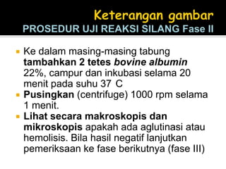Ke dalam masing-masing tabung tambahkan 2 tetes bovine albumin 22%, campur dan inkubasi selama 20 menit pada suhu 37°CPusingkan (centrifuge) 1000 rpm selama 1 menit. Lihat secara makroskopis dan mikroskopis apakah ada aglutinasi atau hemolisis. Bila hasil negatif lanjutkan pemeriksaan ke fase berikutnya (fase III) Keterangan gambarPROSEDUR UJI REAKSI SILANG Fase II