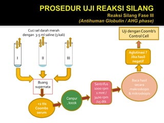 PROSEDUR UJI REAKSI SILANG Reaksi Silang Fase III (Antihuman Globulin / AHG phase)Uji denganCoomb’s Control CellCuci sel darah merahdengan3-5 ml saline (3 kali)Aglutinasi ?Jika hasil negatif   I                             II                            IIIBaca hasil secara makroskopis & mikroskopisBuang supernatan  Sentrifus 1000 rpm 1 mnt / 3400 rpm /15 dtkCampur, kocok +2 ttsCoombs serum15