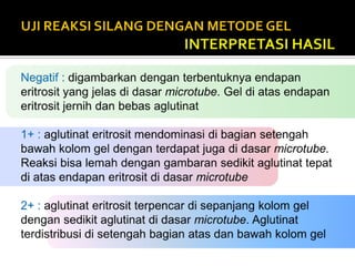 Beri tanda berturut turut I mayor, I minor, II mayor, II minor, autokontrol dan aouto pool pada masing mikrotube.25