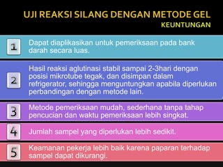 UJI REAKSI SILANG DENGAN METODE GELProsedur Kerja