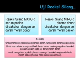 UjiReaksiSilang…
