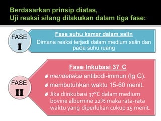 Berdasarkan prinsip diatas, Uji reaksi silang dilakukan dalam tiga fase:FASEIFASEII