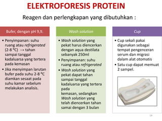 ELEKTROFORESIS PROTEINReagendanperlengkapan yang dibutuhkan :14