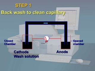 STEP 1Back wash to clean capillaryPOpened chamberClosed ChamberAnodeCathodeWash solution8