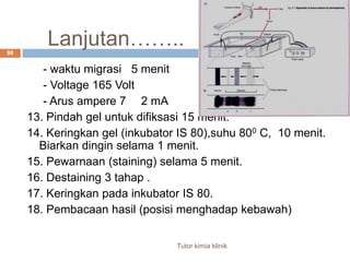 95Elektroforesis Hemoglobin (Sebia K20)Sampel : darah + antikoagulan (EDTA, Citrat, atau heparin). Penyimpanan maksimal 5 hari  20 – 80 C. Persiapan hemolisat :1. Sentrifus sampel 5000 rpm ,5 menit.2. Buang bagian plasma.3. Cuci eritrosit 3 X dengan 10 volume saline;sentrifus masing – masing 5000 rpm, 5 menit.4. Buat hemolisat 10 uL sel darah merah dengan 130 uL Hemolizing solution.(1 : 13)5. Letakkan pada vortex 10 detik dan inkubasi suhu ruangan 5 menit.Tutor kimia klinik