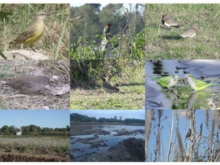 Tia1 2 charla fin de año 2016