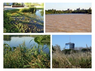 Tia1 2 charla fin de año 2016