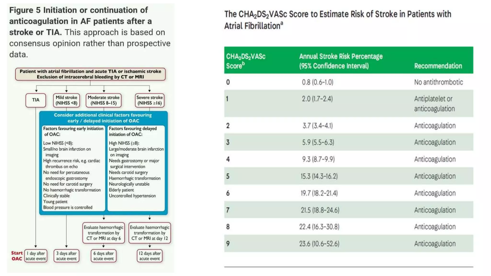 TIA and stroke prevention | PPTX
