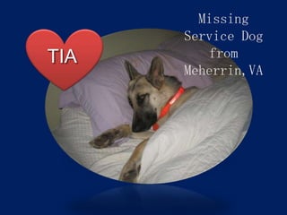 Missing
      Service Dog
TIA      from
      Meherrin,VA
 