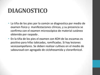 DIAGNOSTICO
• La tiña de los pies por lo común se diagnostica por medio de
examen fisico y manifestaciones clínicas, y su presencia se
confirma con el examen microscópico de material cutáneo
obtenido por raspado .
• En la tiña de los pies el examen con KOH de las escamas es
positivo para hifas tabicadas, ramificadas. Si hay lesiones
vesicoampollares. Se deben realizar cultivos en el medio de
sabouraud con agregado de ciclohexamida y cloranfenicol.

 