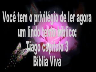 Você tem o privilégio de ler agora um lindo texto bíblico: Tiago capítulo 3 Bíblia Viva 