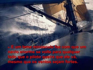 4-   E um leme minúsculo faz com que um navio enorme se volte para qualquer lado que o piloto queira que ele vá, mesmo que os ventos sejam fortes. Tiago 3 