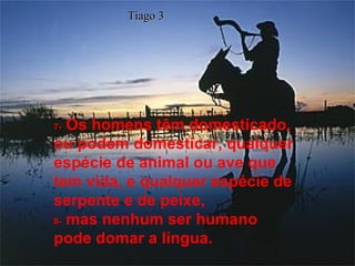 7-   Os homens têm domesticado, ou podem domesticar, qualquer espécie de animal ou ave que tem vida, e qualquer espécie de serpente e de peixe,  8-   mas nenhum ser humano  pode domar a língua. Tiago 3 