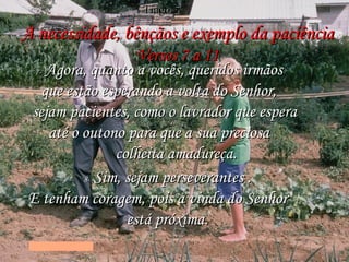 A necessidade, bênçãos e exemplo da paciência Versos 7 a 11 7-   Agora, quanto a vocês, queridos irmãos  que estão esperando a volta do Senhor,  sejam pacientes, como o lavrador que espera  até o outono para que a sua preciosa  colheita amadureça. 8-   Sim, sejam perseverantes . E tenham coragem, pois a vinda do Senhor  está próxima. Tiago 5 