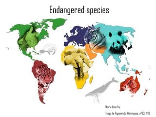 Endangered species Work done by: Tiago de Figueiredo Henriques, nº23, 11ºB 