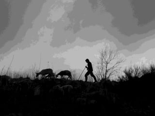 Tiago, o pastor da cidade