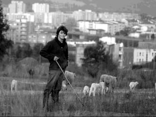 Tiago, o pastor da cidade