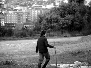 Tiago, o pastor da cidade
