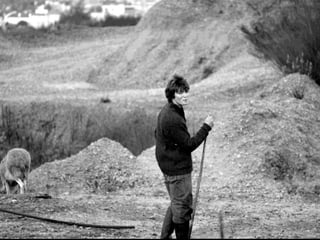 Tiago, o pastor da cidade