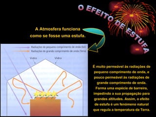 O EFEITO DE ESTUFA A Atmosfera funciona como se fosse uma estufa. É muito permeável às radiações de pequeno comprimento de onda, e pouco permeável às radiações de grande comprimento de onda. Forma uma espécie de barreira, impedindo a sua propagação para grandes altitudes. Assim, o efeito de estufa é um fenómeno natural que regula a temperatura da Terra. 