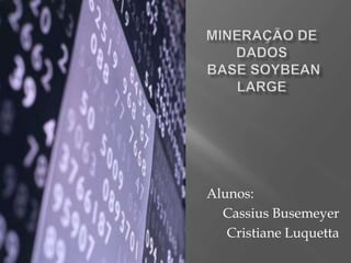 Mineração de DadosBase Soybean Large Alunos:  Cassius Busemeyer Cristiane Luquetta 