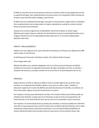 El delfín se encuentra en la misma posición anterior y comienza a batir la cola, golpeando con ella
la superficie del agua. Este comportamiento sirve para avisar a los compañeros sobre la presencia
de peces, para alertarlos sobre el peligro y para brincar.
El delfín sale casi completamente del agua, hace giros y otras piruetas y luego vuelve a sumergirse.
Este comportamiento solo es observado en la época reproductiva, cuando los machos intentan
llamar la atención de las hembras.
Aunque no se conocen registros de un depredador natural de los botos, el caimán negro
(Melanosuchus niger), Gayarre o tiburón toro (Carcharhinus leucas), la anaconda (Eunectes sp.), y
el jaguar (Panthera onca) son depredadores potenciales que en un momento dado pueden
depredar sobre ellos.
HÁBITAT Y ÁREA GEOGRÁFICA
Habita en los ríos y lagunas de la cuenca alta del río Amazonas y el Orinoco, por debajo de los 400
metros sobre el nivel del mar.
Se distribuye por Venezuela, Colombia, Ecuador, Perú, Bolivia, Brasil y Guyana.
Vive en agua dulce solo.
Además de habitar ríos, está bien adaptado a vivir en la várzea (zonas de bosque inundado);
también se le encuentra en pequeñas formaciones de lagos conectadas a los ríos, en canales a
excepción de estuarios y cascadas; también se les encuentra en la desembocadura de los ríos.
AMENAZAS
Captura directa: Cuando se captura un delfín a veces se venden algunas de sus partes como
amuletos. En el departamento del Beni, Bolivia, se les caza con rifles y redes. También se
obtuvieron registros de muertes de delfines por parte de personas en Colombia, no siempre con
fines comerciales, algunas veces por interacciones en la pesca.
Con respecto a la pesca para alimentarse con ellos, los Yuracarés indican que el bufeo puede ser
utilizado como alimento, aunque esto no es frecuente, ya que la carne es muy grasienta y de
fuerte mal olor; en el norte de Brasil creen que la carne no es comestible o que es venenosa.
Con respecto a la comercialización de sus partes para amuletos, numerosas poblaciones ribereñas
coinciden en que la grasa de este animal se utiliza como remedio tradicional efectivo contra males
respiratorios (tuberculosis) y afecciones pulmonares. En el mercado de Riberalta (Bolivia) se
ofrecen dientes de bufeo como amuleto contra la mala suerte y como atractivo sexual. Hay
 