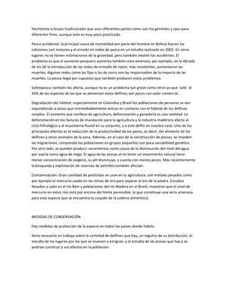 hechiceros o brujos tradicionales que usan diferentes partes como son los genitales y ojos para
diferentes fines, aunque esto es muy poco practicado.
Pesca accidental: la principal causa de mortalidad por parte del hombre en Bolivia fueron las
colisiones con motores y el enredo en redes de pesca en un estudio realizado en 2002. En otros
lugares no se tienen estimaciones de la gravedad, pero también existen los accidentes. El
problema es que el aumento pesquero aumenta también esta amenaza; por ejemplo, en la década
de los 60 la introducción de las redes de enmalle de nylon, más resistentes, aumentaron las
muertes. Algunas redes como las fijas o las de cerco son las responsables de la mayoría de las
muertes. La pesca ilegal por supuesto que también producen estos problemas.
Sobrepesca: también les afecta, aunque no es un problema tan grave como otros ya que ´solo´ el
43% de las especies de las que se alimentan estos delfines son peces con valor comercial.
Degradación del hábitat: especialmente en Colombia y Brasil las poblaciones de personas se van
expandiendo a zonas que irremediablemente entran en contacto con el hábitat de los delfines
rosados. El aumento que conlleva de agricultura, deforestación y ganadería es una realidad. La
deforestación en las llanuras de inundación para la agricultura y la industria maderera afecta al
ciclo hifrológico y al ecosistema fluvial en su conjunto, y a este delfín en nuestro caso. Uno de los
principales efectos es la reducción de la productividad de los peces, es decir, del alimento de los
delfines y otros animales de la zona. Además, en el caso de la construcción de presas, se impiden
las migraciones, rompiendo las poblaciones en grupos pequeños con poca variabilidad genética.
Por otro lado, se pueden producir varamientos como causa de la disminución del nivel del agua
por usarla como agua de riego. El agua de las presas al no tener un movimiento natural tiene
menor concentración de oxígeno, su pH disminuye, y cuenta con menos peces. Más recientemente
la búsqueda y explotación de reservas de petróleo también afectan.
Contaminación: Gran cantidad de pesticidas se usan en la agricultura, con metales pesados como
por ejemplo el mercurio usado en las minas de oro para separar al oro de la piedra. Estudios
llevados a cabo en el río Beni y poblaciones del río Madera en el Brasil, muestran que el nivel de
mercurio en estos ríos está por encima del límite permisible, lo que constituye una seria amenaza
para esta especie que se encuentra la cúspide de la cadena alimenticia
MEDIDAS DE CONSERVACIÓN
Hay medidas de protección de la especie en todos los países donde habita.
Sería necesario un trabajo sobre la cantidad de delfines que hay, un registro de su distribución, el
estudio de los lugares por los que se mueven y emigran, y el estudio de las presas que hay y se
podrían construir y sus efectos en la población.
 