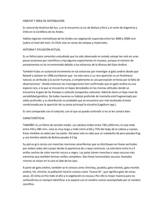 HÁBITAT Y ÁREA DE DISTRIBUCIÓN
Es natural de América del Sur, y se le encuentra al sur de Bolivia y Perú y al norte de Argentina y
Chile en la Cordillera de los Andes.
Habita regiones montañosas de los Andes con vegetación esparcida entre los 3000 y 5000 snm
(sobre el nivel del mar). En Chile vive en zonas de estepas y matorrales.
HISTORIA Y SITUACIÓN ACTUAL
Es un felino poco conocido y estudiado que ha sido observado en estado salvaje tan solo en unas
pocas ocasiones por científicos y hay algunos especímenes en museos, aunque el número de
avistamientos se ha incrementado debido a los esfuerzos de la Alianza del Gato Andino
También hubo un sustancial incremento en las esfuerzos por investigar al gato andino desde que
Nowell y Jackson en 1996 escribieran que ´no está claro si su rara aparición es un fenómeno
natural, es atribuido a la acción humana, o simplemente es una percepción errónea por la falta de
observaciones´. Desde entonces las investigaciones han confirmado que en gato andino es una
especie rara, a la que se encuentra en bajas densidades en las mismas altitudes donde se
encuentra el gato de las Pampas o colocolo (Leopardus colocolo). Además tiene un bajo nivel de
variabilidad genética. De todas maneras su hábitat preferido de montaña está fragmentado por
valles profundo, y su distribución es probable que se encuentre aún más localizada al estar
condicionada por la aparición de su presa principal la vizcacha (Lagidium spp.).
Es raro comparado con el colocolo, con el que se puede confundir si no se les conoce bien.
CARACTERÍSTICAS
TAMAÑO: Es un felino de tamaño medio. Los adultos miden entre 740 y 850 mm; la cola mide
entre 410 y 485 mm.; esta es muy larga y mide entre el 66 y 75% del largo de la cabeza y cuerpo.
Estas medidas se saben por las pieles. Del peso solo se sabe que un subadulto de perú pesaba 4 kg
y una hembra adulta de Bolivia pesaba 4.5 kg.
Su piel es gris ceniza con manchas marrones amarillentas que se distribuyen en líneas verticales
por ambos lados del cuerpo dando la apariencia de y rayas continuas. La cola tiene entre 6 y 9
anillos anchos de color marrón oscuro a negro. Las patas tienen manchas o rayas oscuras más
estrechas que también forman anillos completos. Dos líneas horizontales oscuras, llamadas
rinarios se sitúan en la cara al lado de los ojos.
A parte de gato andino, también se le conoce como chinchay, jacobita, gato montés, gato montés
andino, titi, chincha..la población local lo conoce como ´huana titi´, que significa gato de zonas
secas. (El clima es frío todo el año y la vegetación es escasa.) Por ello la mejor manera para no
confundirnos es siempre identificar a la especie con el nombre común acompañado por el nombre
científico.
 