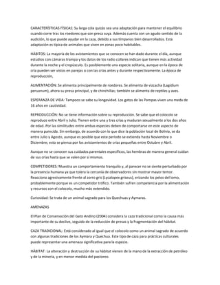 CARACTERÍSTICAS FÍSICAS: Su larga cola quizás sea una adaptación para mantener el equilibrio
cuando corre tras los roedores que son presa suya. Además cuenta con un agudo sentido de la
audición, lo que puede ayudar en la caza, debido a sus tímpanos bien desarrollados. Esta
adaptación es típica de animales que viven en zonas poco habitables.
HÁBITOS: La mayoría de los avistamientos que se conocen se han dado durante el día, aunque
estudios con cámaras trampa y los datos de los radio collares indican que tienen más actividad
durante la noche y el crepúsculo. Es posiblemente una especie solitaria, aunque en la época de
cría pueden ser vistos en parejas o con las crías antes y durante respectivamente. La época de
reproducción,
ALIMENTACIÓN: Se alimenta principalmente de roedores. Se alimenta de vizcacha (Lagidium
peruanum), ahora su presa principal, y de chinchillas; también se alimenta de reptiles y aves.
ESPERANZA DE VIDA: Tampoco se sabe su longevidad. Los gatos de las Pampas viven una meda de
16 años en cautividad.
REPRODUCCIÓN: No se tiene información sobre su reproducción. Se sabe que el colocolo se
reproduce entre Abril y Julio. Tienen entre una y tres crías y maduran sexualmente a los dos años
de edad. Por las similitudes entre ambas especies deben de comportarse en este aspecto de
manera parecida. Sin embargo, de acuerdo con lo que dice la población local de Bolivia, se da
entre Julio y Agosto, aunque es posible que este periodo se extienda hasta Noviembre o
Diciembre; esto se piensa por los avistamientos de crías pequeñas entre Octubre y Abril.
Aunque no se conocen sus cuidados parentales específicos, las hembras de manera general cuidan
de sus crías hasta que se valen por sí mismas.
COMPETIDORES: Muestra un comportamiento tranquilo y, al parecer no se siente perturbado por
la presencia humana ya que tolera la cercanía de observadores sin mostrar mayor temor.
Reacciona agresivamente frente al zorro gris (Lycalopex griseus), erizando los pelos del lomo,
probablemente porque es un competidor trófico. También sufren competencia por la alimentación
y recursos con el colocolo, mucho más extendido.
Curiosidad: Se trata de un animal sagrado para los Quechuas y Aymaras.
AMENAZAS
El Plan de Conservación del Gato Andino (2004) considera la caza tradicional como la causa más
importante de su declive, seguido de la reducción de presas y la fragmentación del hábitat.
CAZA TRADICIONAL: Está considerado al igual que el colocolo como un animal sagrado de acuerdo
con algunas tradiciones de los Aymara y Quechua. Este tipo de caza para prácticas culturales
puede representar una amenaza significativa para la especie.
HÁBITAT: La alteración y destrucción de su hábitat vienen de la mano de la extracción de petróleo
y de la minería, y en menor medida del pastoreo.
 